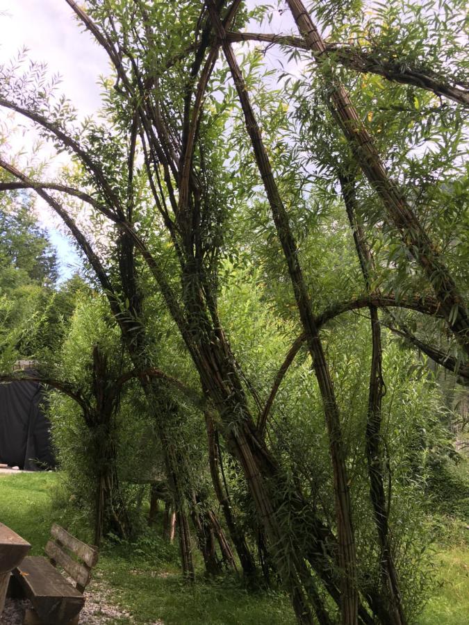 Wengerwirt Zur Laube Bed & Breakfast Weng im Gesause Bagian luar foto