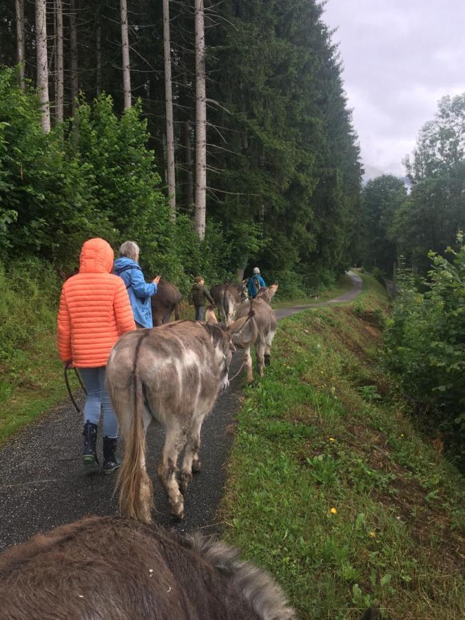 Wengerwirt Zur Laube Bed & Breakfast Weng im Gesause Bagian luar foto