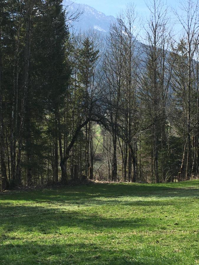 Wengerwirt Zur Laube Bed & Breakfast Weng im Gesause Bagian luar foto