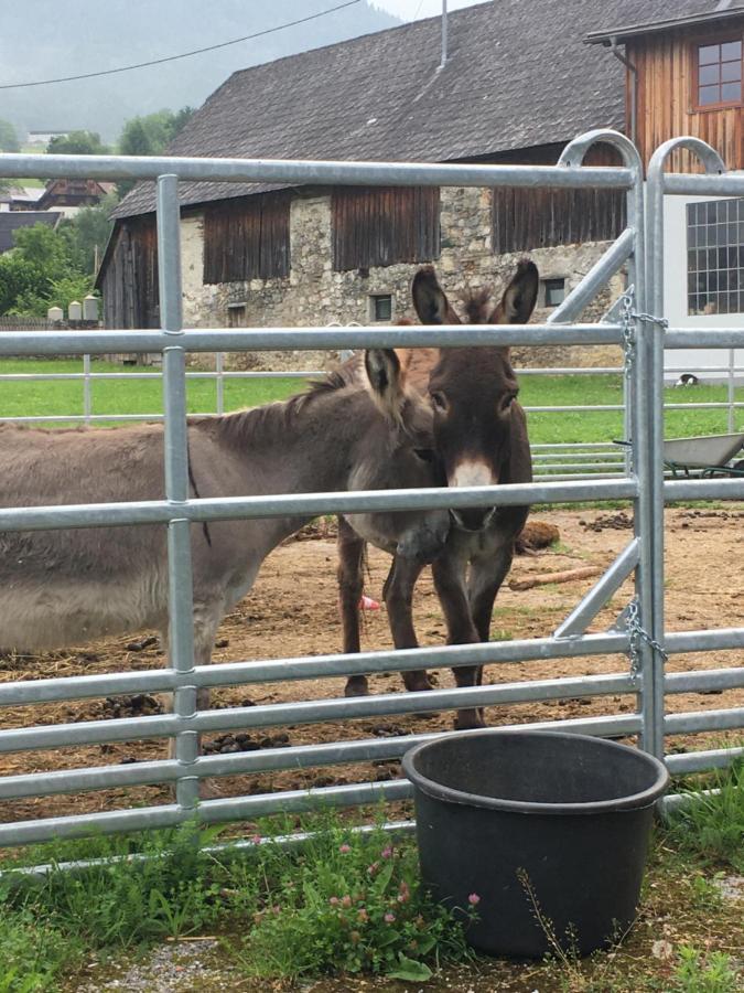 Wengerwirt Zur Laube Bed & Breakfast Weng im Gesause Bagian luar foto