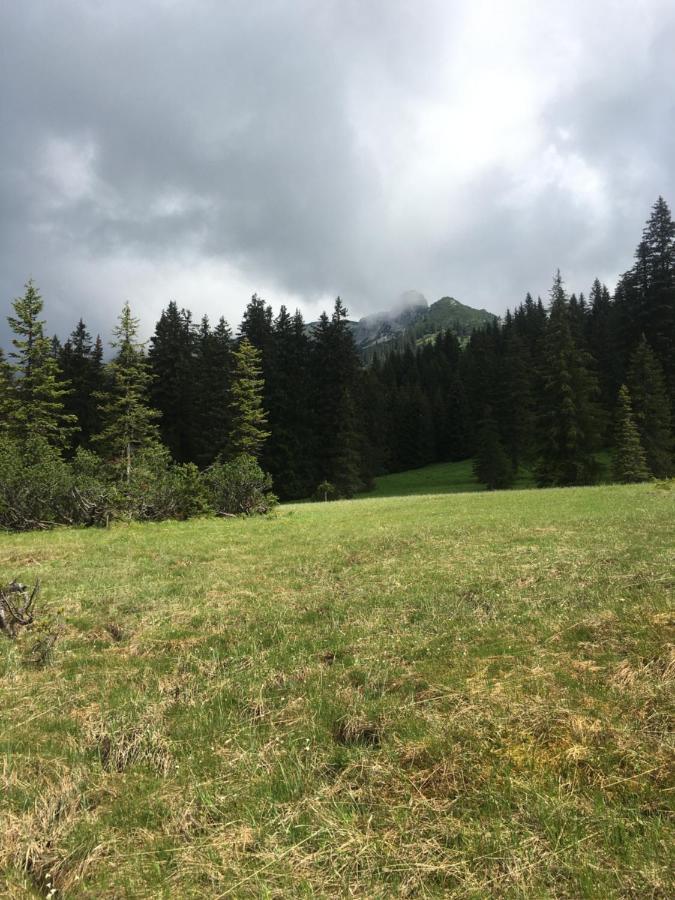 Wengerwirt Zur Laube Bed & Breakfast Weng im Gesause Bagian luar foto