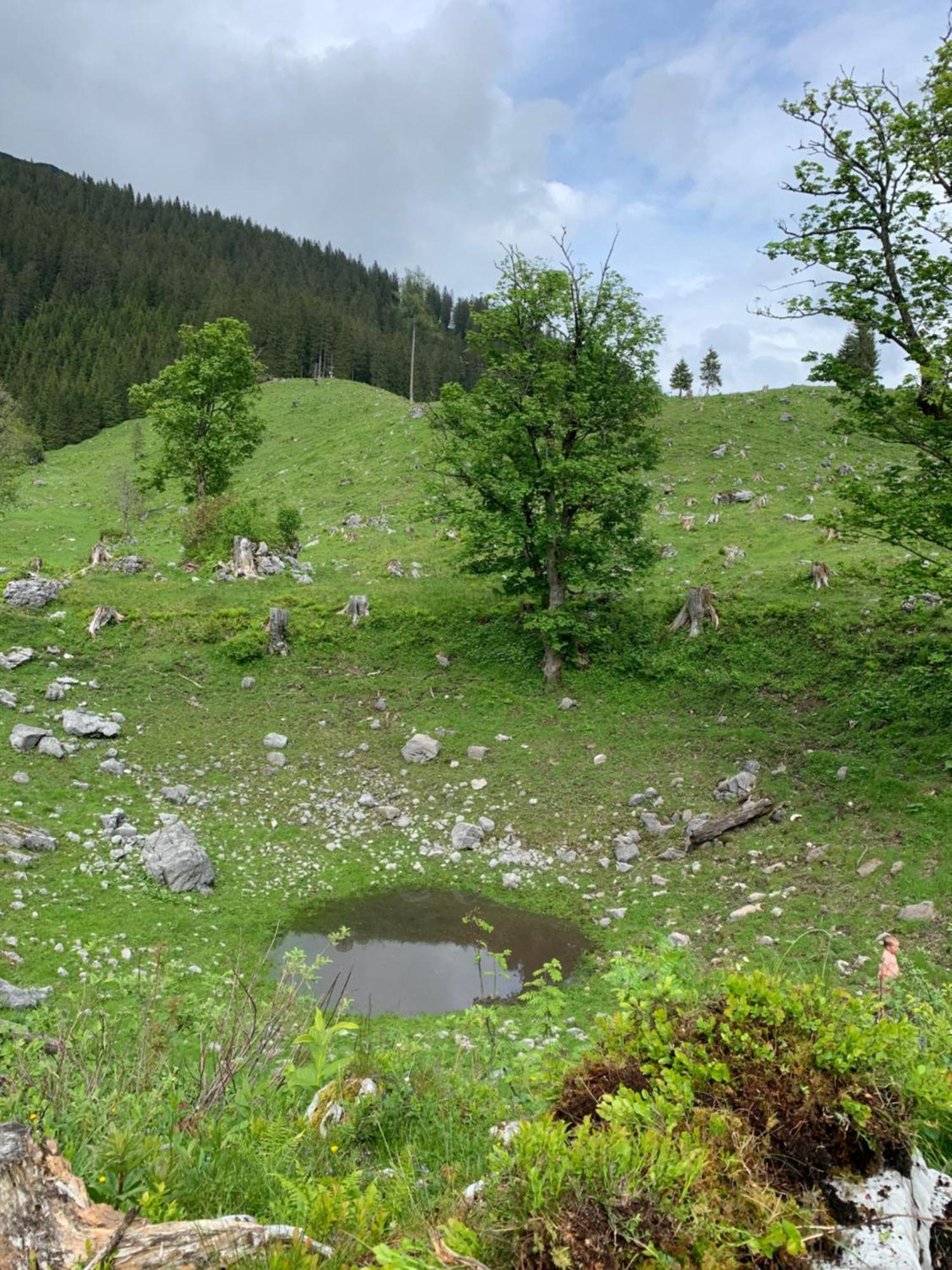 Wengerwirt Zur Laube Bed & Breakfast Weng im Gesause Bagian luar foto